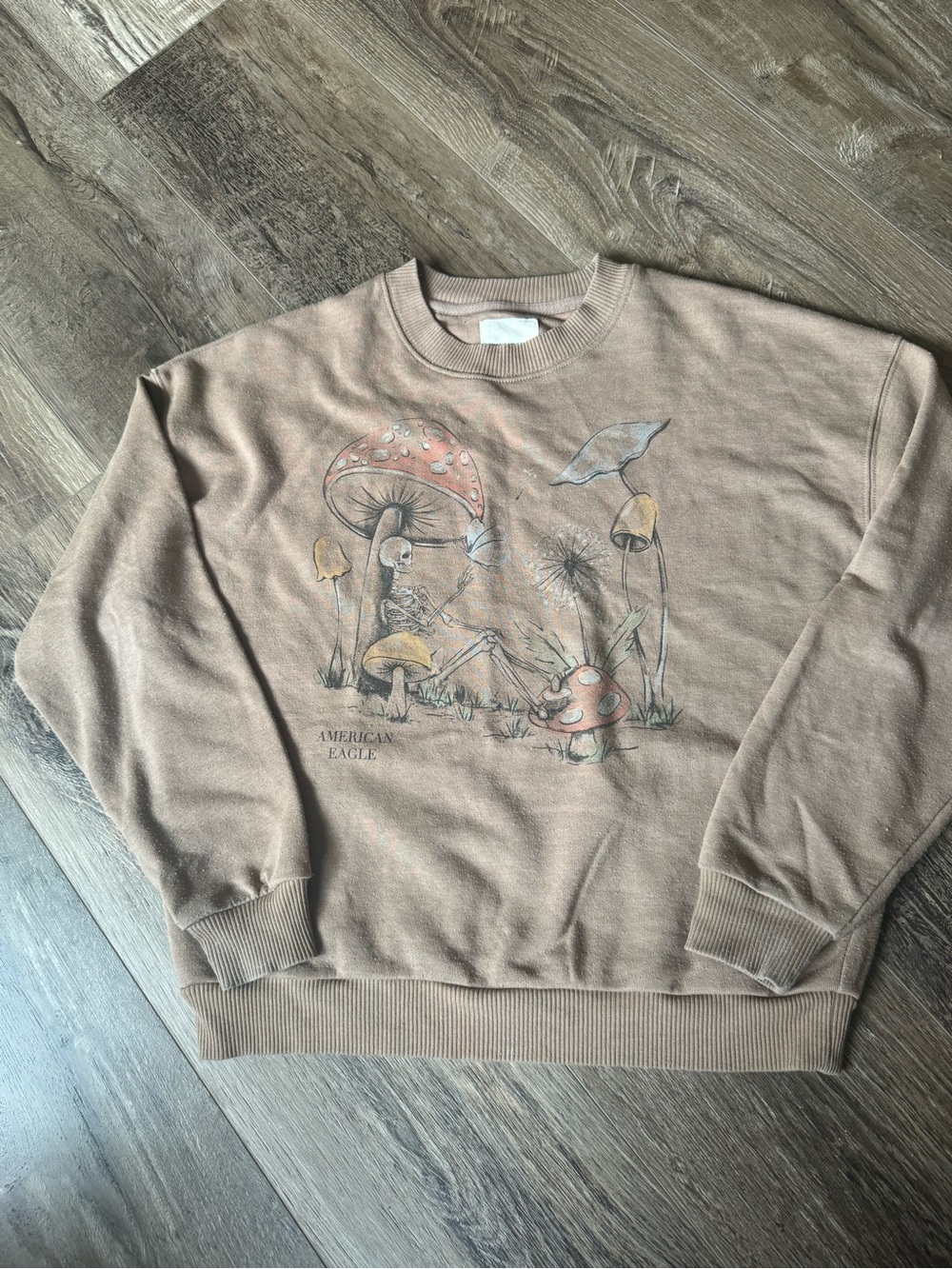 American Eagle Outfitters Brown Graphic Mushroom Crewneck Sweater